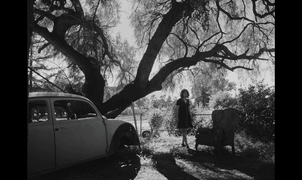 Black and white still of Anaita Wali Zada (Donya) standing by a car underneath a tree