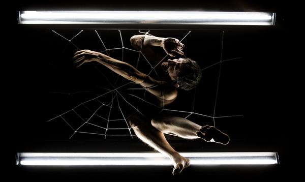 A man is caught in a giant spider web between two bars of light, with his limbs and head poking through