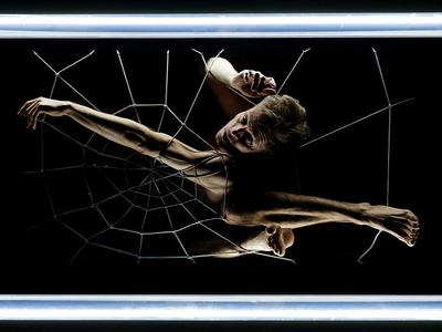 A man is caught in a spiders web