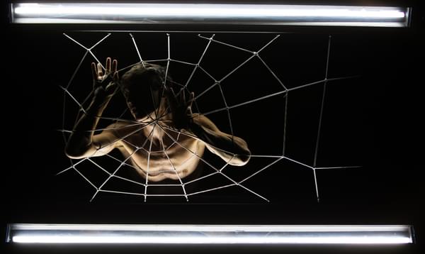 A man is caught in a giant spider web between two bars of light, clasping the net with his hands
