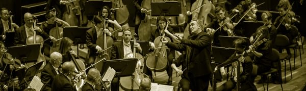 An orchestra appears on stage with the conductor stood before them