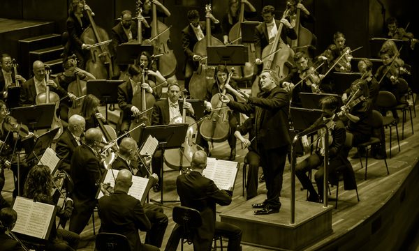 An orchestra appears on stage with the conductor stood before them