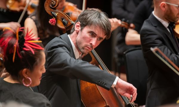 A cellist cocks his head, concentrating on playing his instrument.