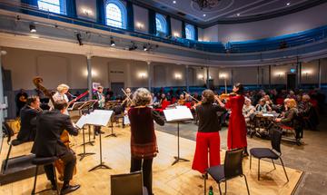 a group of string players stand on stage with their backs facing the camera