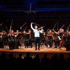 a group of string players flourish their bows in the air