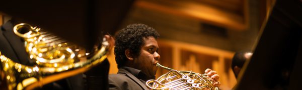 A photo of three french horn players with focus on the central one, golden in the light. The musician looks ahead while getting ready to play.