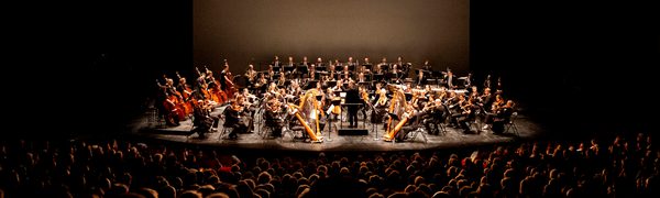 The orchestra shown onstage in the distance, with the silhouettes of rows of audience members in the foreground.