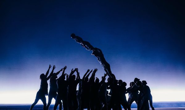 A tower of acrobats lean at a 45 degree angle, collapsing into a group waiting beneath them