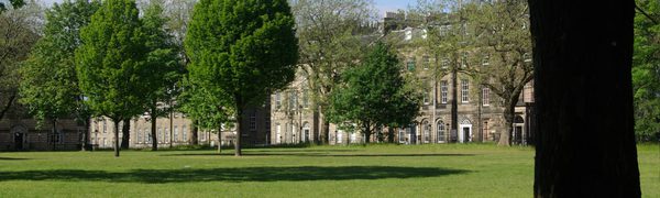 A view of a sunlit grassy park, with trees and tenements visible in the background and one tree trunk in the foreground.