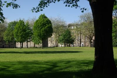 A view of a sunlit grassy park, with trees and tenements visible in the background and one tree trunk in the foreground.